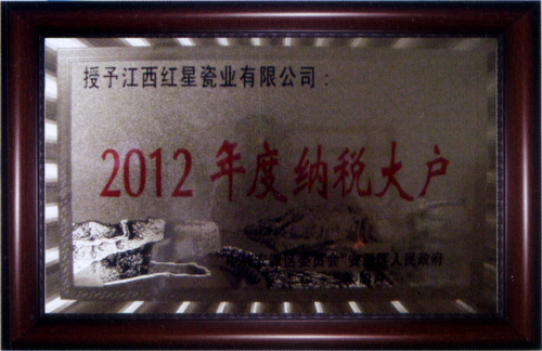 2012年度纳税大户